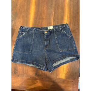 Cosmic Blue Love 22W Denim Shorts